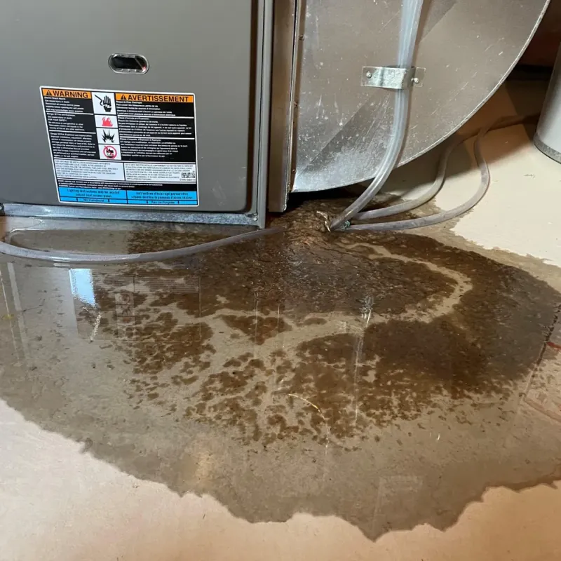 Appliance Leak Cleanup in Sheldon, IL
