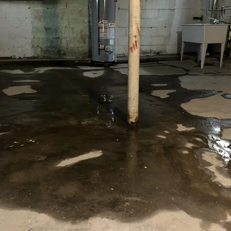 Emergency Water Extraction And Removal in Sheldon, IL
